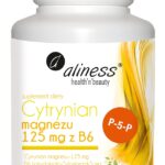 Aliness Cytrynian Magnezu 125mg z B6 x 100 kaps.
