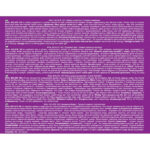 Real Pharm Isolate 100 700g - obrazek 2